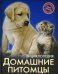 Домашние питомцы