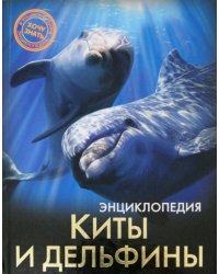 Киты и дельфины