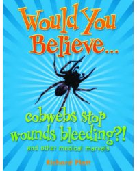 Cobwebs Stop Wounds Bleeding?!