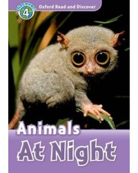 Animals at Night