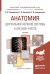 Обложка книги «Анатомия центральной нервной системы и органов чувств. Учебник для академического бакалавриата. Гриф УМО МО РФ» — Гайворонский Алексей Иванович, Гайворонский Иван Васильевич, Ничипорук Геннадий Иванович, ISBN 9785991658645