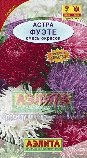 Семена. Астра "Фуэте", коготковая, смесь окрасок, однолетник (вес: 0,2 г)