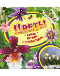Цветы