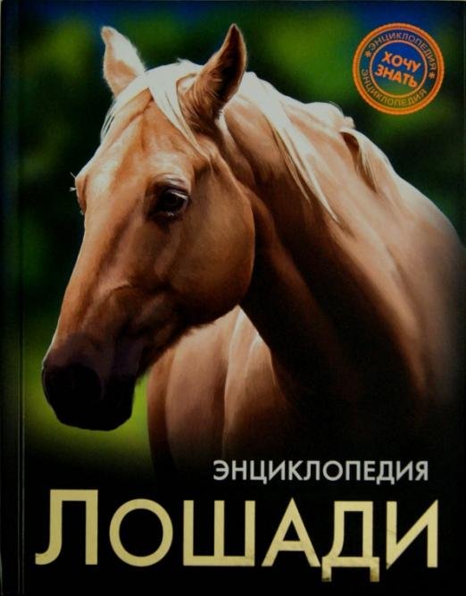 Хочу знать. Лошади
