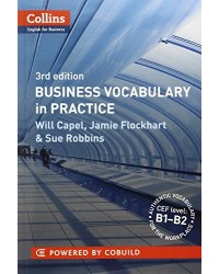 Business Vocabulary in Practice