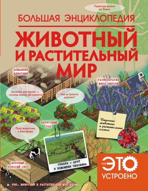 Животный и растительный мир