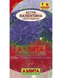 Семена. Астра "Валентина", смесь окрасок, однолетник (вес: 0.2 г)