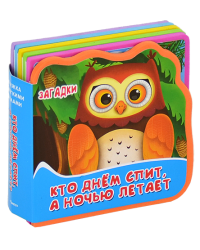 Кто днем спит, а ночью летает. Загадки