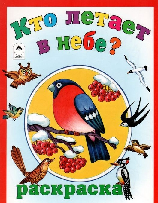 Раскраски Кто летает в небе?