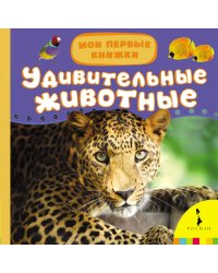 Удивительные животные