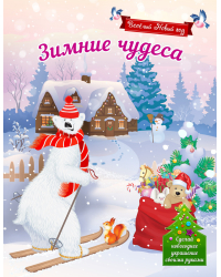 Зимние чудеса