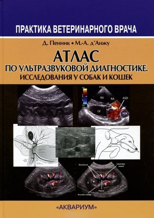 Обложка книги «Атлас по ультразвуковой диагностике. Исследования у собак и кошек» — Пенник Доминик, Д`Анжу Марк-Андре, ISBN 9785423802967