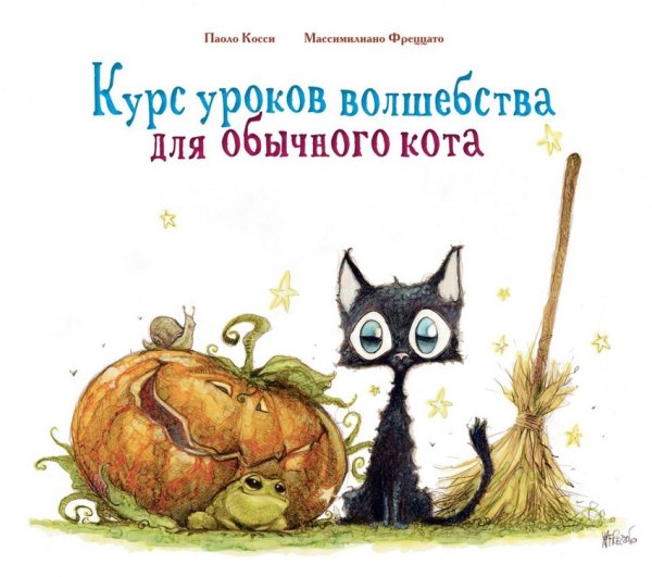 Курс уроков волшебства для обычного кота