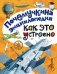 Как это устроено?
