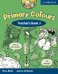 Primary Colours 2 Teacher's Book