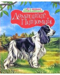 Домашние питомцы