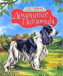 Обложка книги «Домашние питомцы», ISBN 5180010462
