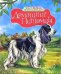 Обложка книги «Домашние питомцы», ISBN 5180010462