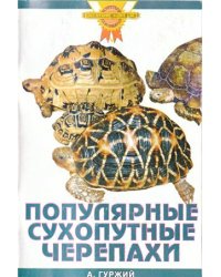 Популярные сухопутные черепахи