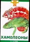 Золотые советы по уходу и содержанию Хамелеоны