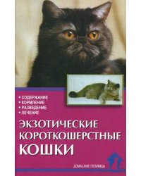 Экзотические короткошерстные кошки. Содержание, кормление, разведение, лечение