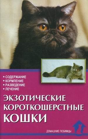 Обложка книги «Экзотические короткошерстные кошки. Содержание, кормление, разведение, лечение» — Зорин Вадим Леонидович, Зубкова Надежда Владимировна, ISBN 598435165X