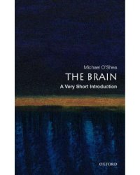 The Brain