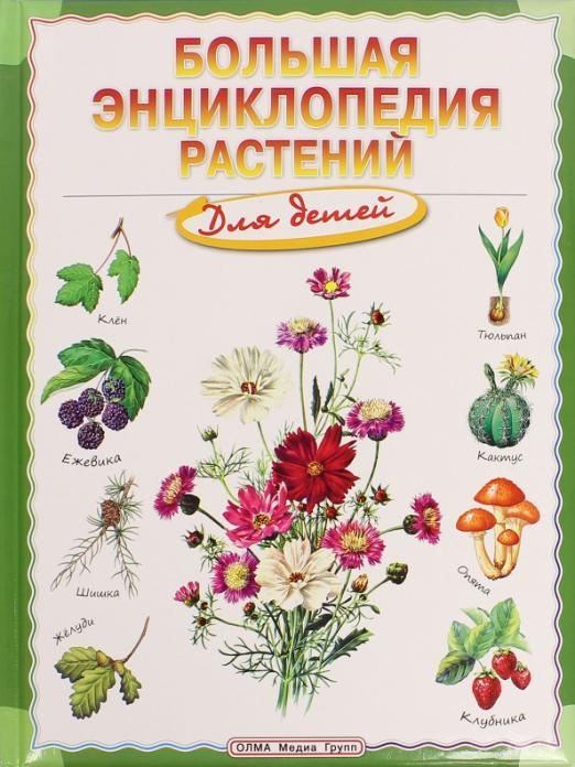 Словари и справочники для детей Большая энциклопедия растений для детей
