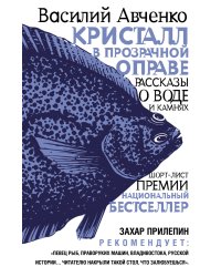 Кристалл в прозрачной оправе