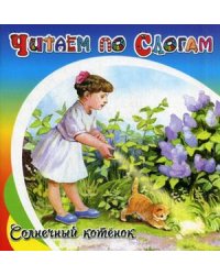 Солнечный котенок