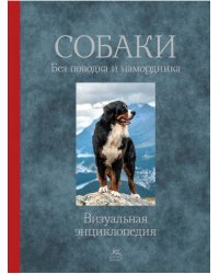 Собаки. Без поводка и намордника