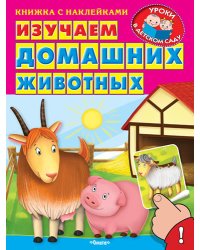 Изучаем домашних животных