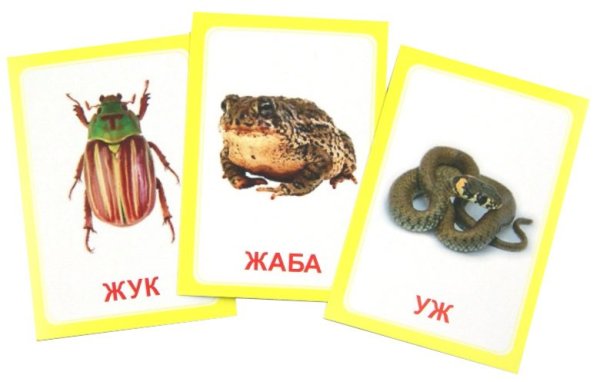 Логопедические карточки "Логопедка Ж"