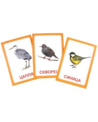 Логопедические карточки "Логопедка Ц"