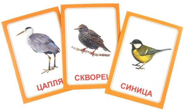 Логопедические карточки "Логопедка Ц"
