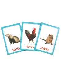 Логопедические карточки "Логопедка Щ+Х"