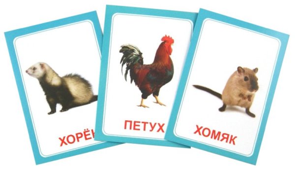 Обложка книги «Логопедические карточки "Логопедка Щ+Х"», ISBN 4612731630874