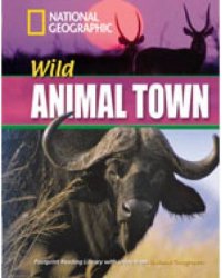 Wild Animal Town