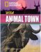 Обложка книги «Wild Animal Town» — Waring Rob, ISBN 9781424010899