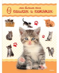 Моя большая книга о кошках и котятах