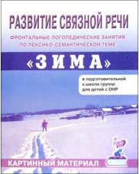 Развитие связной речи. Фронтальные логопедические занятия по теме "Зима". Картинный материал