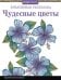 Креативная раскраска. Чудесные цветы