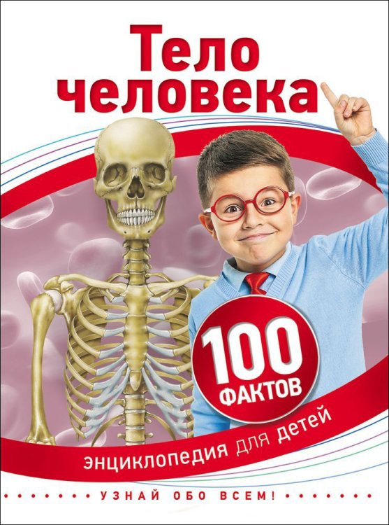 Тело человека