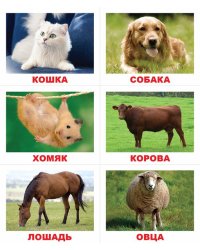 Лото "Животные"