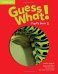 Guess What! Pupil's Book 1