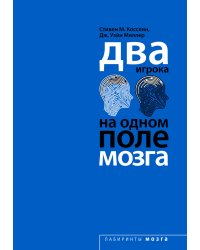 Два игрока на одном поле мозга