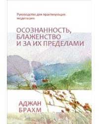 Осознанность, блаженство и за их пределами