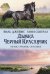 Обложка книги «Дымка. Черный Красавчик» — Сьюэлл Анна, Джеймс Виль, ISBN 9785991034524