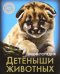 Хочу знать. Детеныши животных