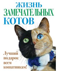 Жизнь замечательных котов